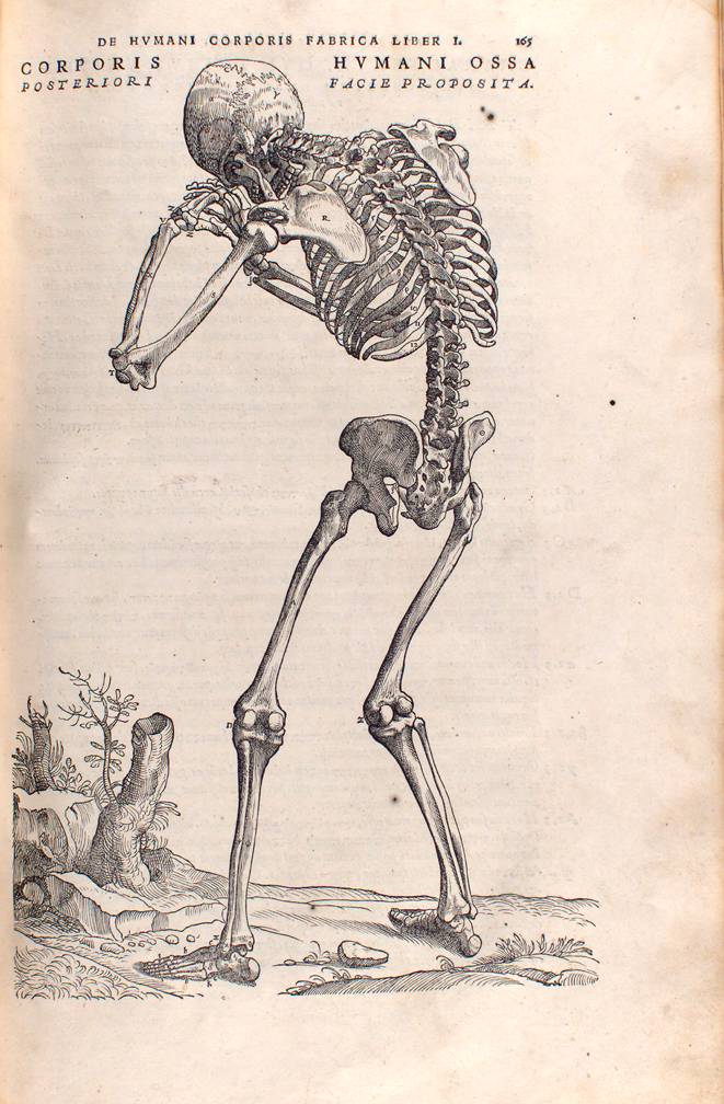 vesdi03.jpg